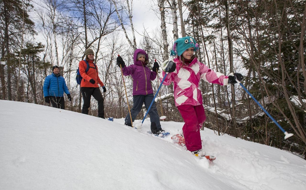 Вилла Chalet Centenaire Mauricie Saint Roch de Mekinac Экстерьер фото