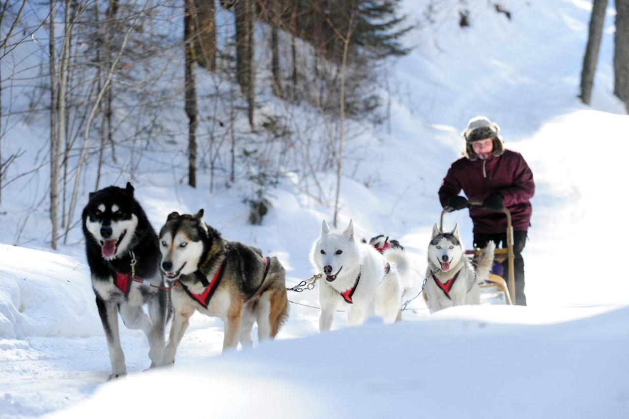 Вилла Chalet Centenaire Mauricie Saint Roch de Mekinac Экстерьер фото